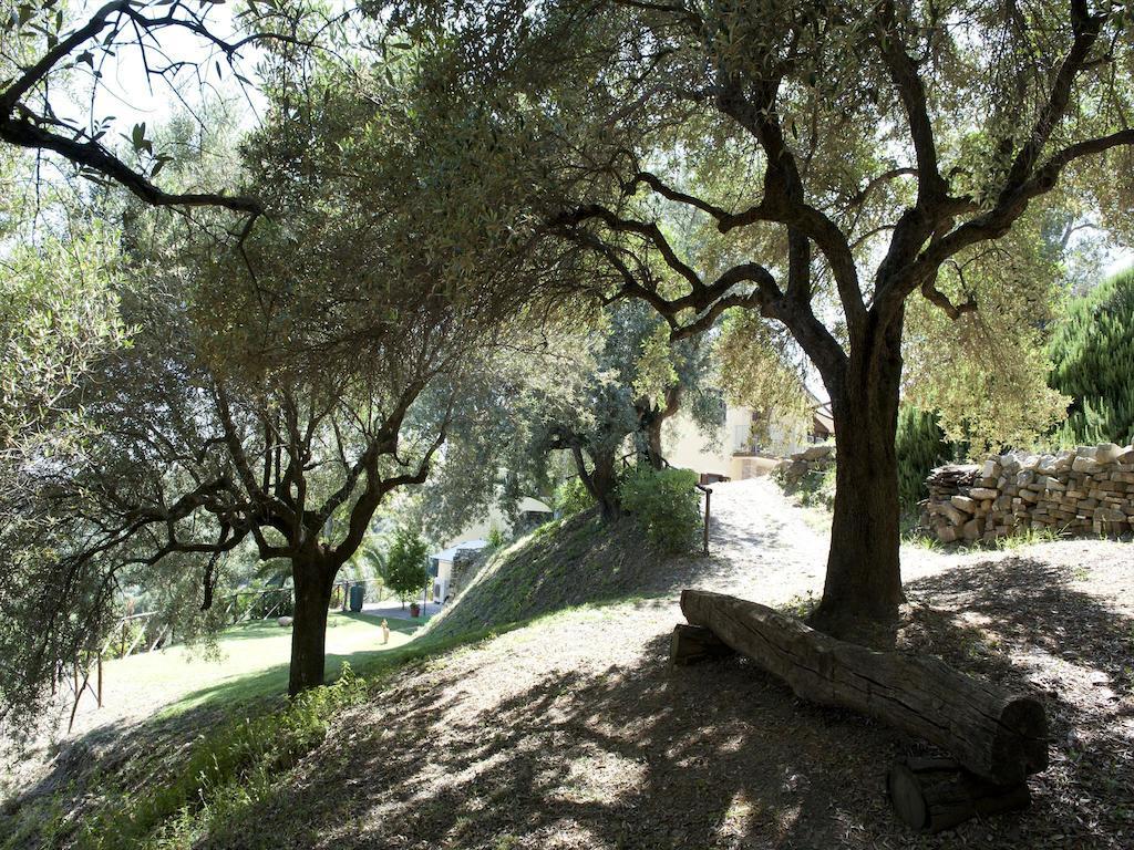 Villa Bernadette San Mauro Cilento Kültér fotó