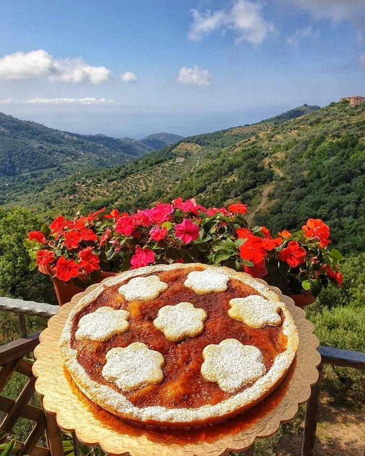 Villa Bernadette San Mauro Cilento Kültér fotó